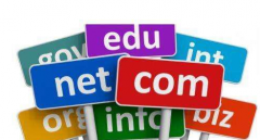 網(wǎng)站域名影響SEO優(yōu)化的因素有哪些