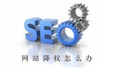 網(wǎng)站突然被降權(quán)自查最重要