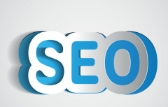 百度蜘蛛只抓取網(wǎng)站首頁(yè)怎么解決